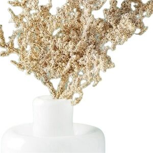 anthropologie glittering berry gold spray Holiday Christmas Decor Anthro Home